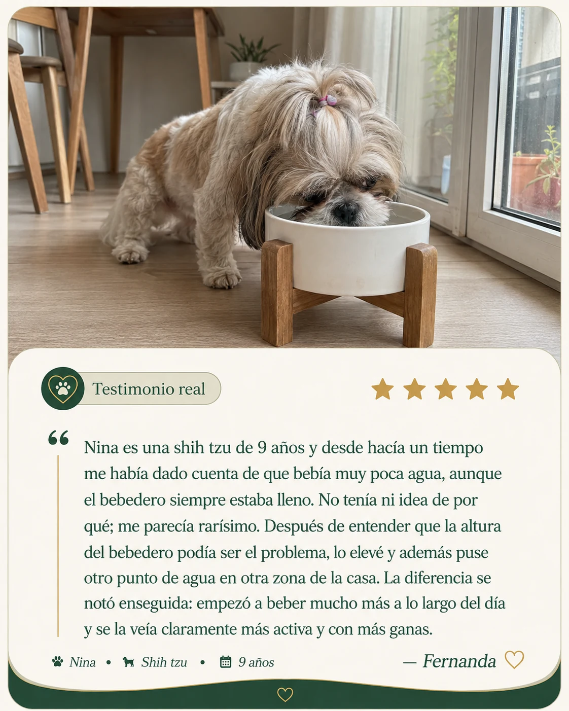 Testimonio de Fernanda sobre Nina