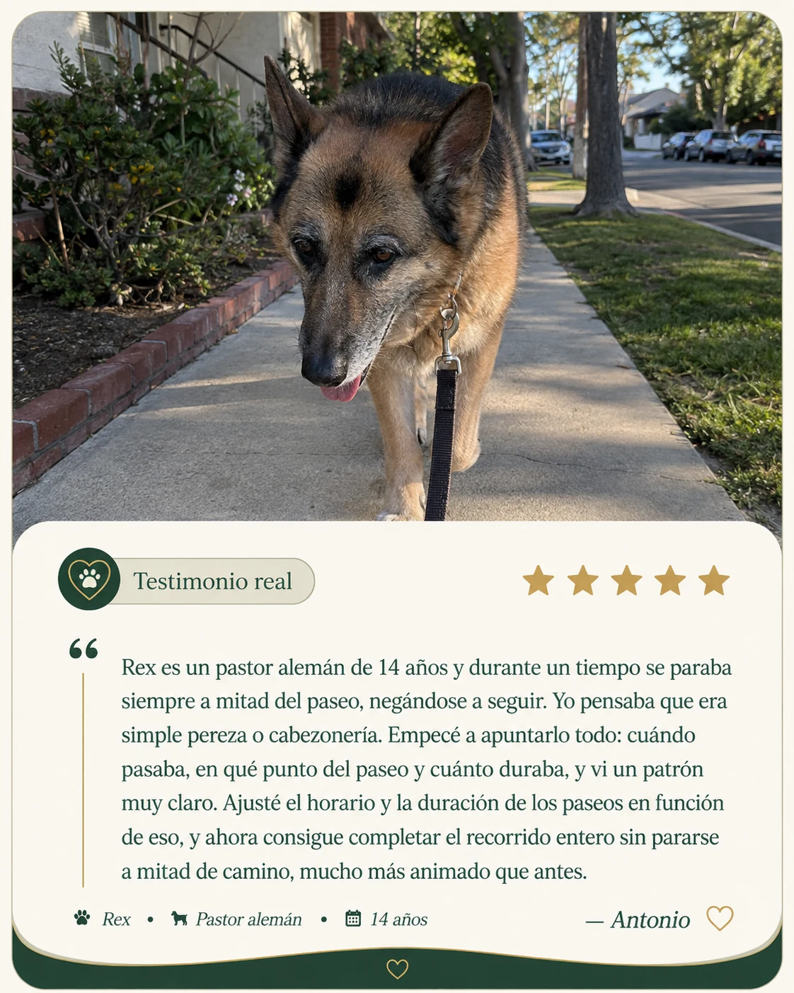 Testimonio de Antonio sobre Rex