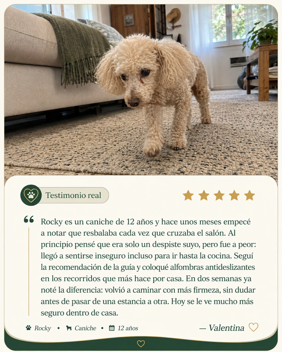 Testimonio de Valentina sobre Rocky
